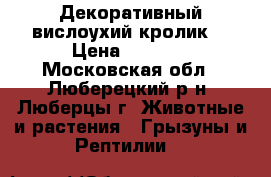 Декоративный вислоухий кролик  › Цена ­ 1 000 - Московская обл., Люберецкий р-н, Люберцы г. Животные и растения » Грызуны и Рептилии   